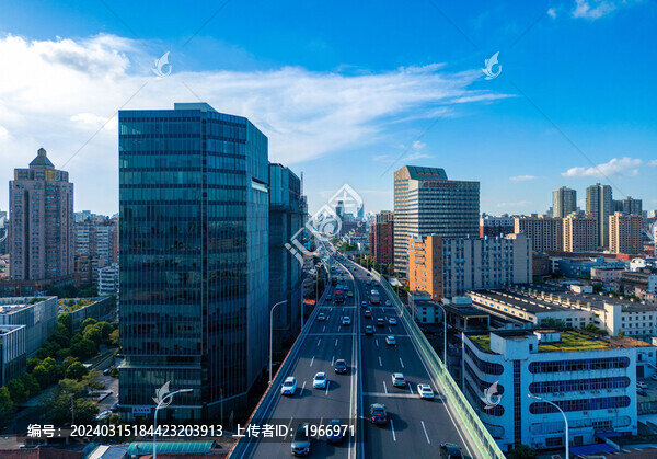 上海市楊浦大橋
