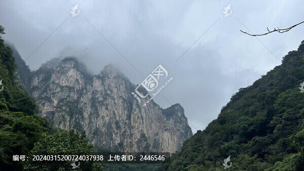 山水風景深林高山