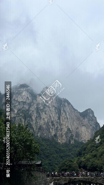 山水風(fēng)景深林高山