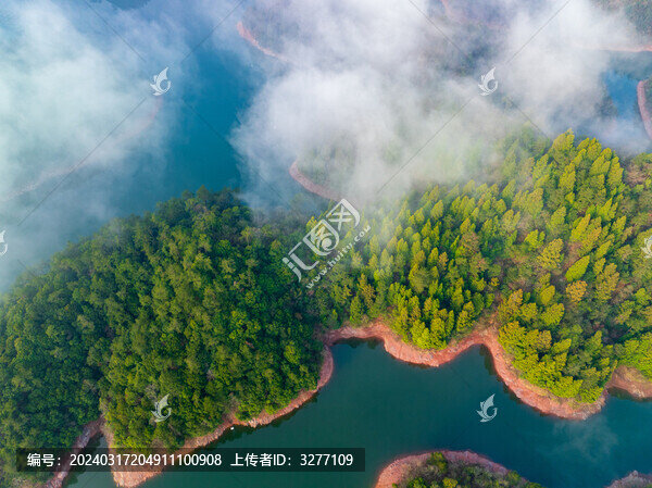 千島湖森林和云海風(fēng)光