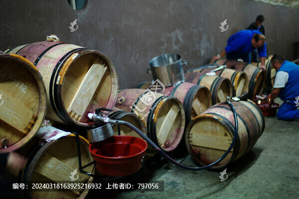 木桐酒莊的釀酒工人