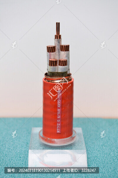 電線(xiàn)電纜產(chǎn)品圖RTTYZ電纜