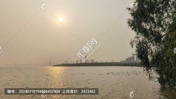 深圳灣日落前景色