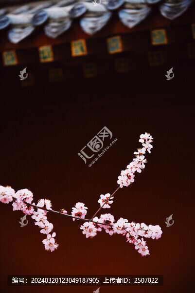 膠片質(zhì)感的桃花