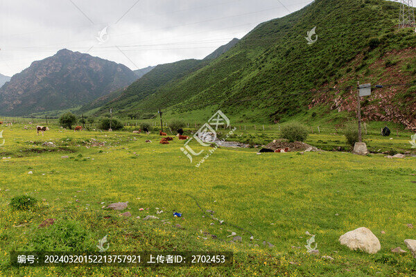 青海祁連山