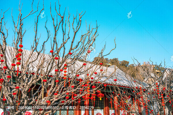 紅色裝飾燈籠