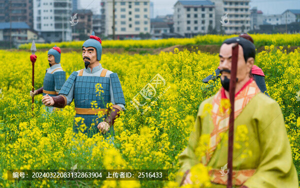 農(nóng)村油菜花盛開景象