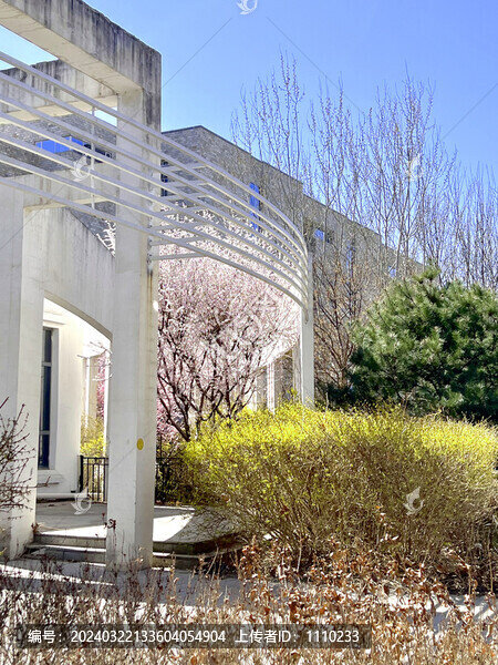 春花爛漫