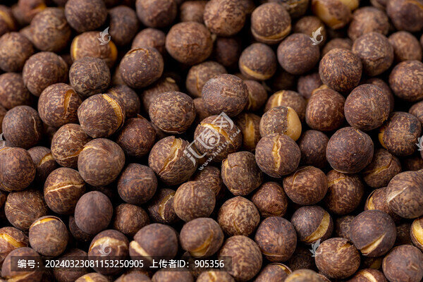 炒灰豆子