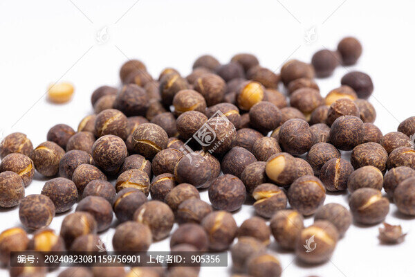 炒灰豆子
