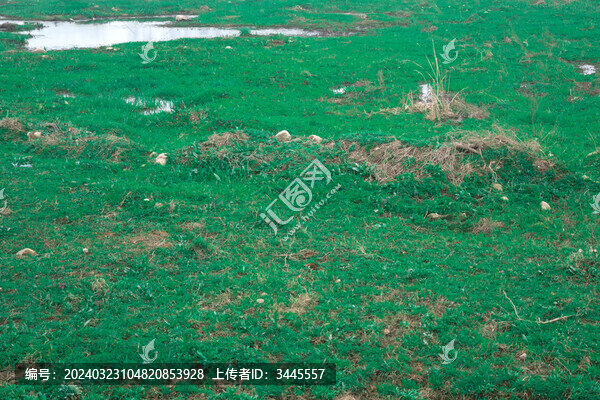 草原濕地