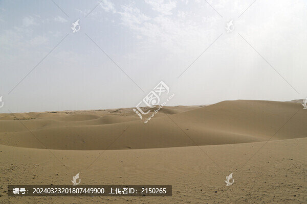 沙漠
