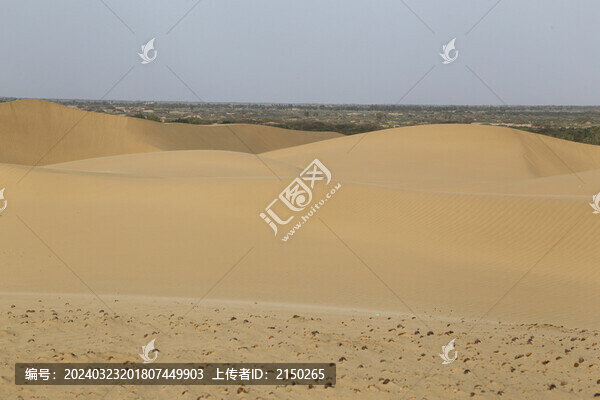 沙漠綠洲