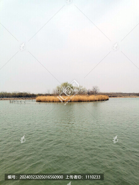 西青郊野公園