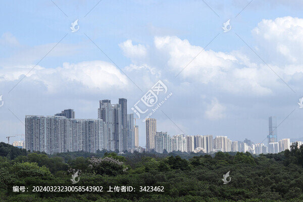 被深圳灣紅樹林遮住的高樓大廈