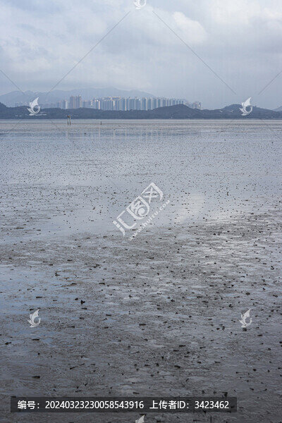 深圳灣退潮后景象