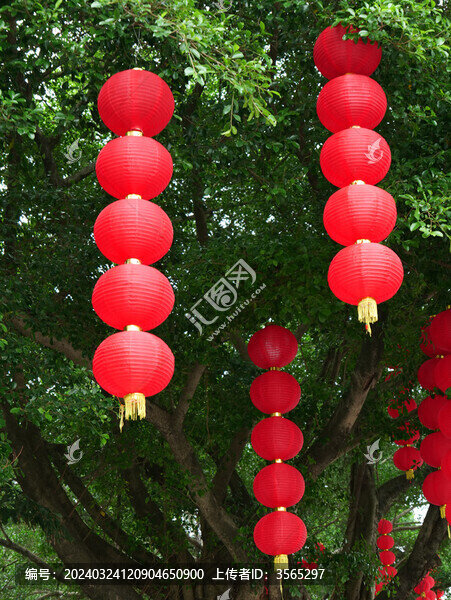 樹上的紅燈籠