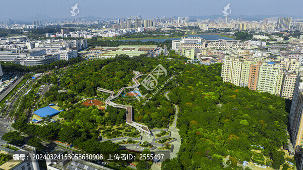 虎地山森林公園