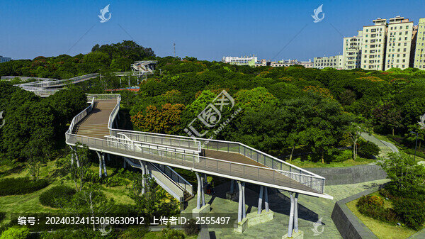 虎地山森林公園