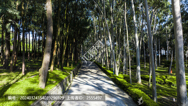 石巖湖溫泉渡假村