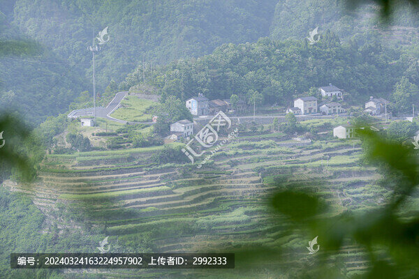 層層梯田