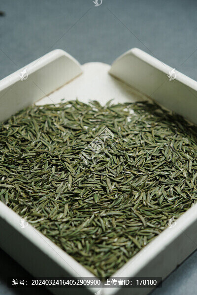 雀舌綠茶