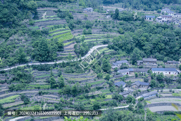 新農(nóng)村