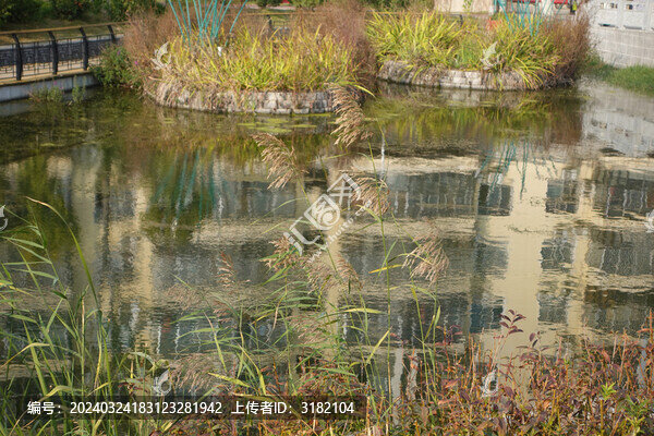 河岸風景
