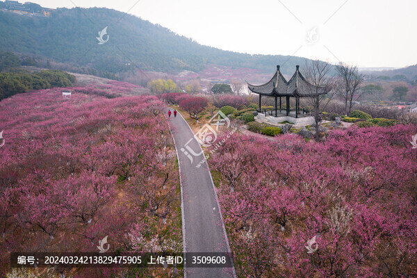 航拍張家港香山梅嶺風景區(qū)