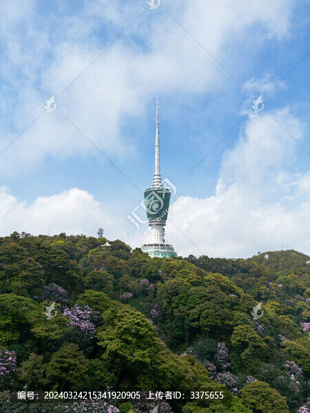 深圳梧桐山電視塔云海城市風(fēng)光