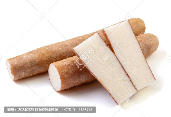 生山藥食材白底圖特寫(xiě)