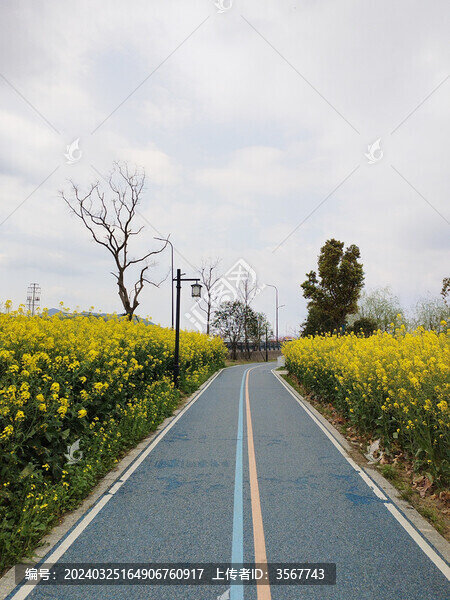 春季聞潮綠道