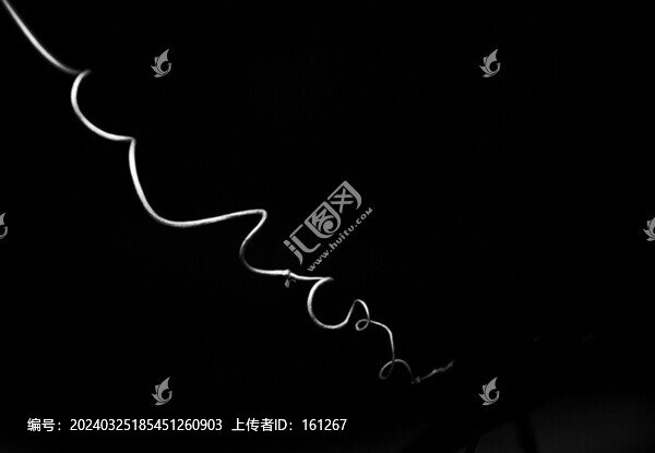藤條線美