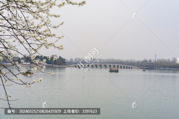 春暖花開(kāi)公園湖中美景