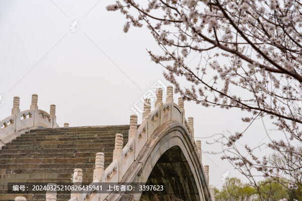 春天游園賞花美景如畫柳綠花紅