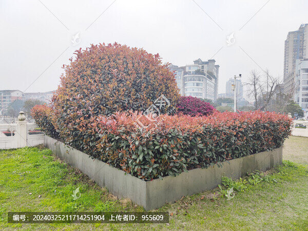 花壇