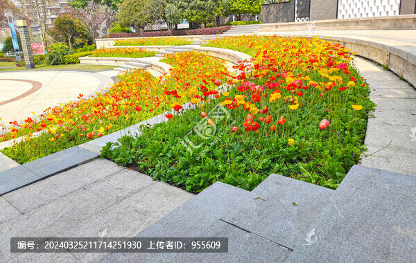 花壇