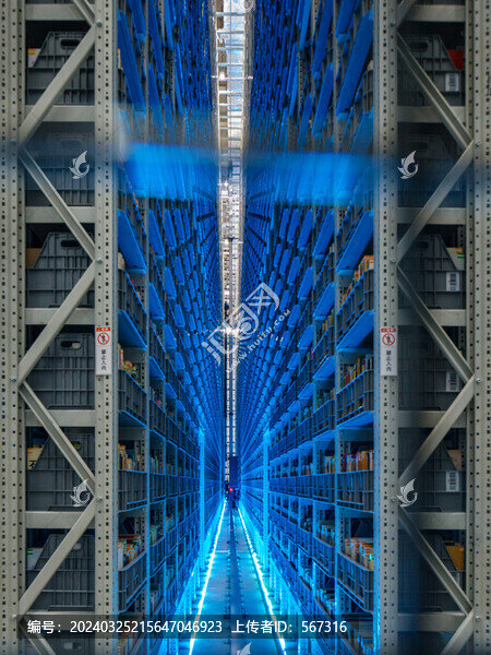 龍華兩館