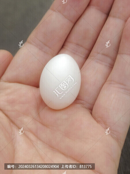 巢穴斑鳩蛋