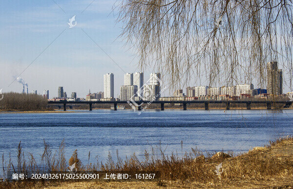 松花江畔春色美