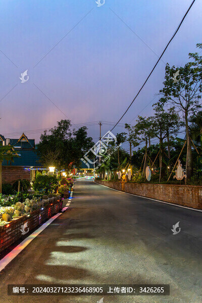 傣族寨子里晚上的街景