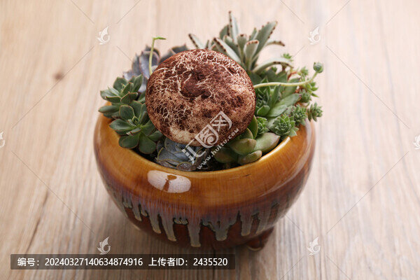 燒肉蘑菇包