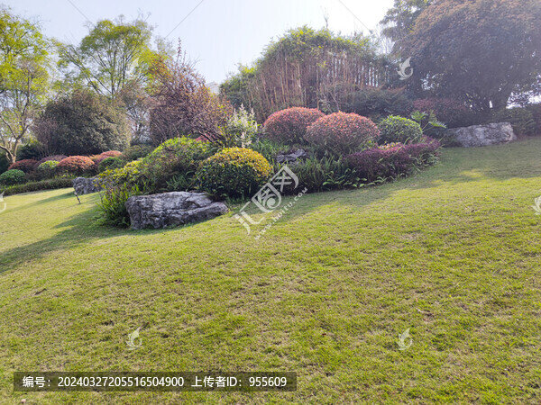 公園草坪綠植