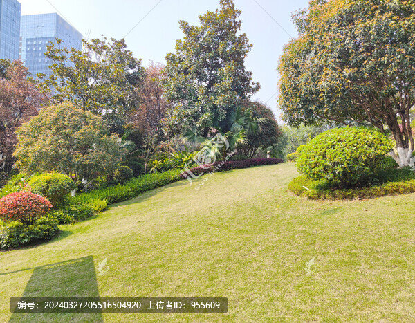 公園草坪綠植