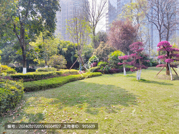 公園草坪綠植