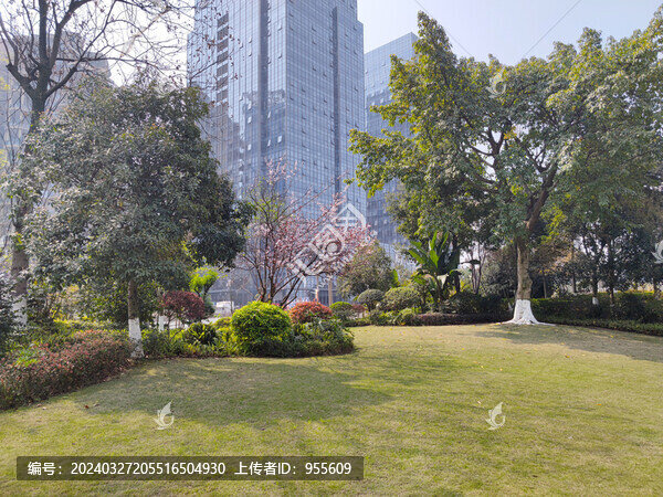 公園草坪綠植