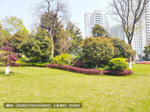 公園草坪綠植
