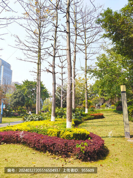公園草坪綠植
