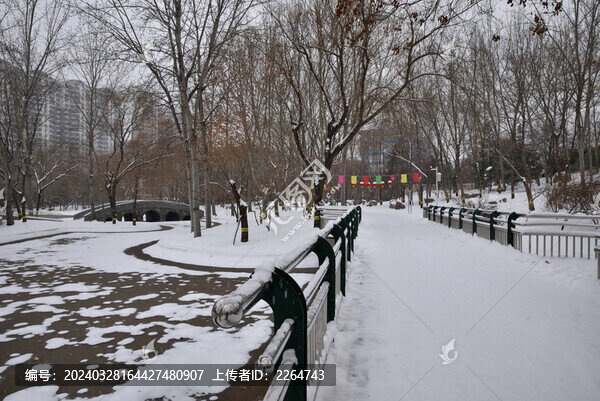 石家莊綠洲公園雪景