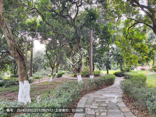 公園石板路